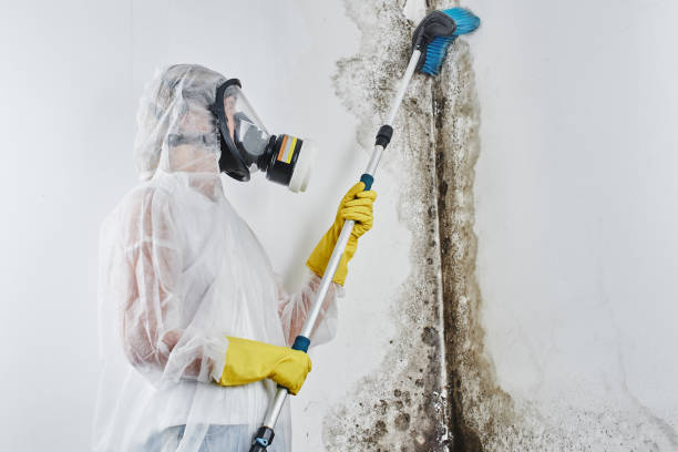 Best Residential Mold Removal  in Canastota, NY