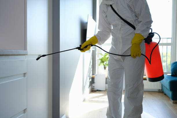 Best Office Mold Removal Services  in Canastota, NY