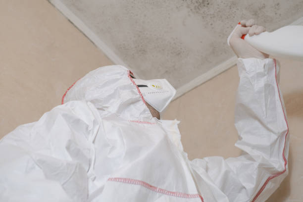 Best Crawl Space Mold Removal  in Canastota, NY