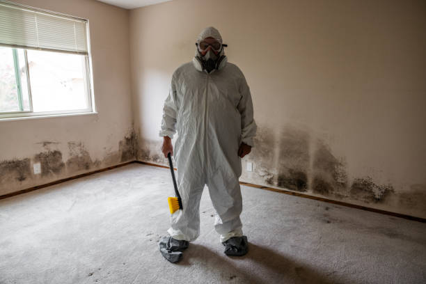 Best Mold Cleaning Services  in Canastota, NY